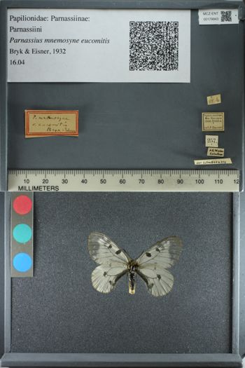 Media type: image;   Entomology 179943